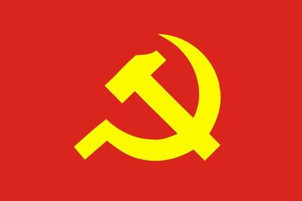 《中国共产党支部工作条例（试行）》